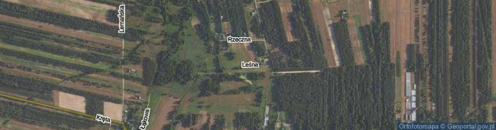 Zdjęcie satelitarne Leśna ul.